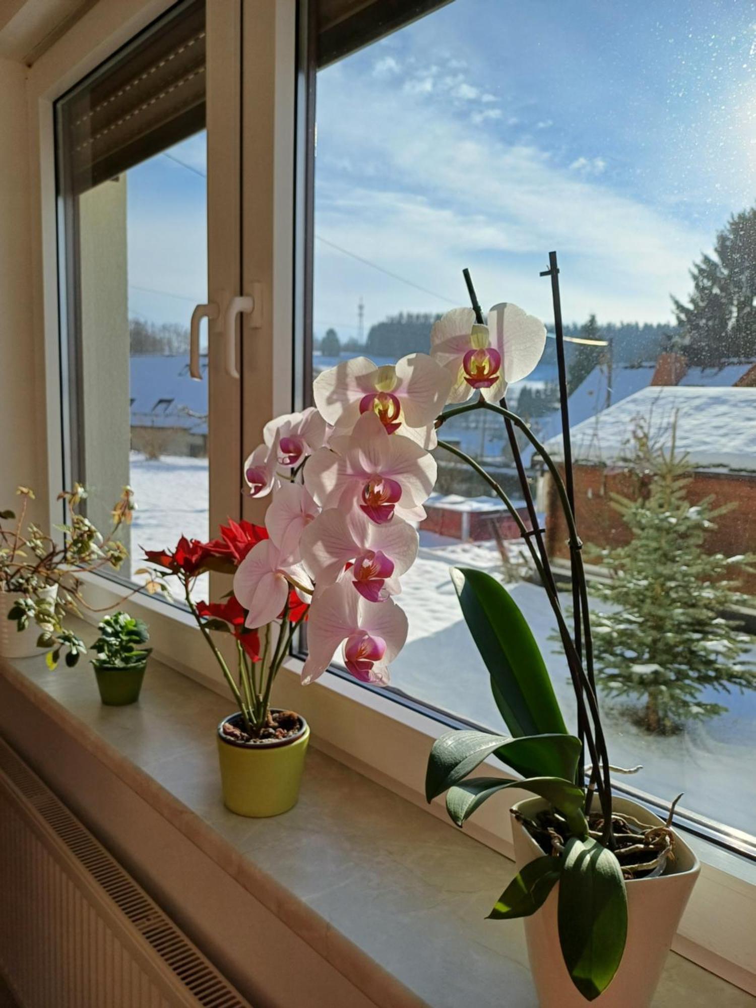 Thüringer Zimmer Suhl Exterior foto